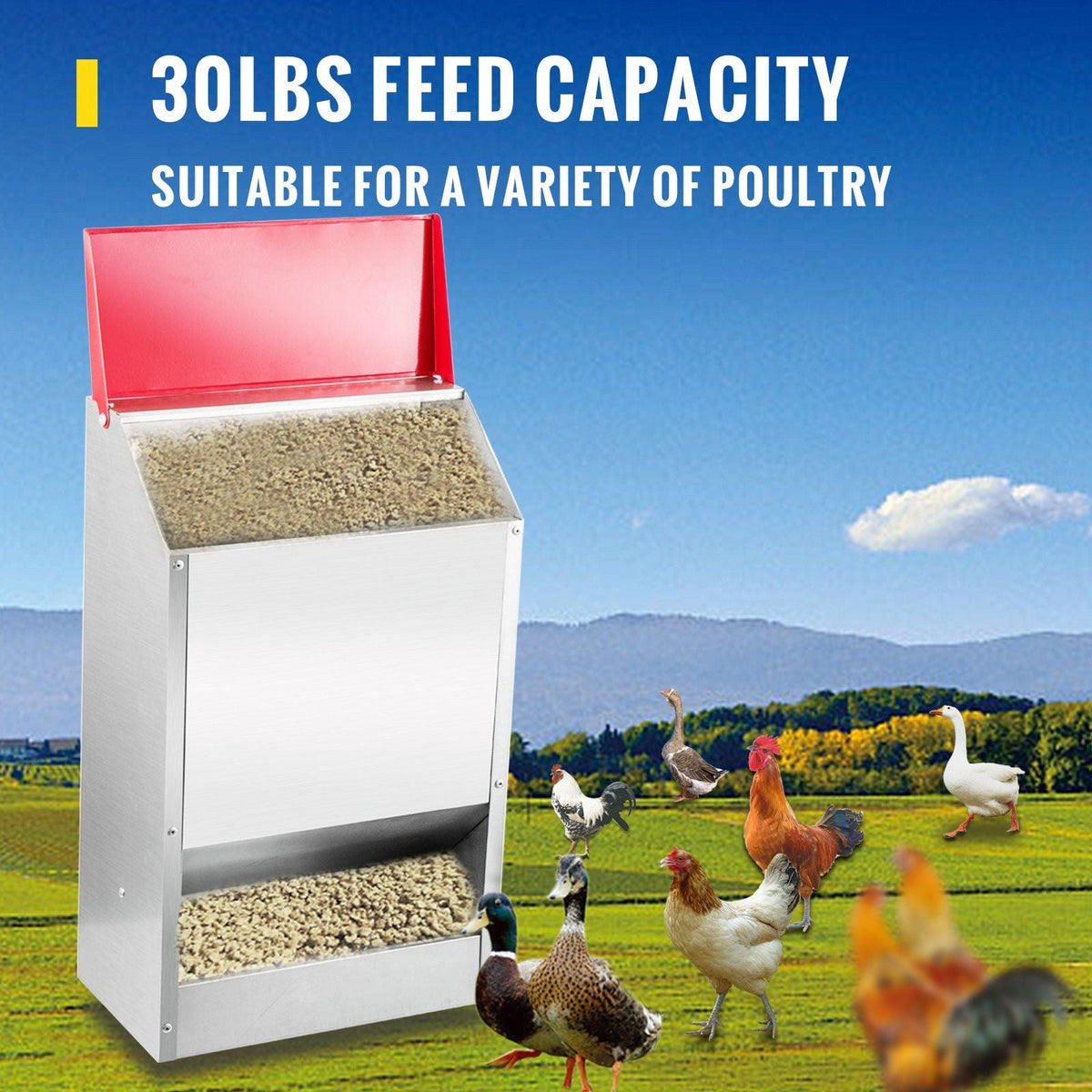 Galvanized Poultry Feeder Holds 30lbs of Feed Chicken Feeders No Waste 13.8x8.3x17.7in Hanging Chicken Feeder with Lid Weatherproof Outdoor Coop Food Dispenser for Duck