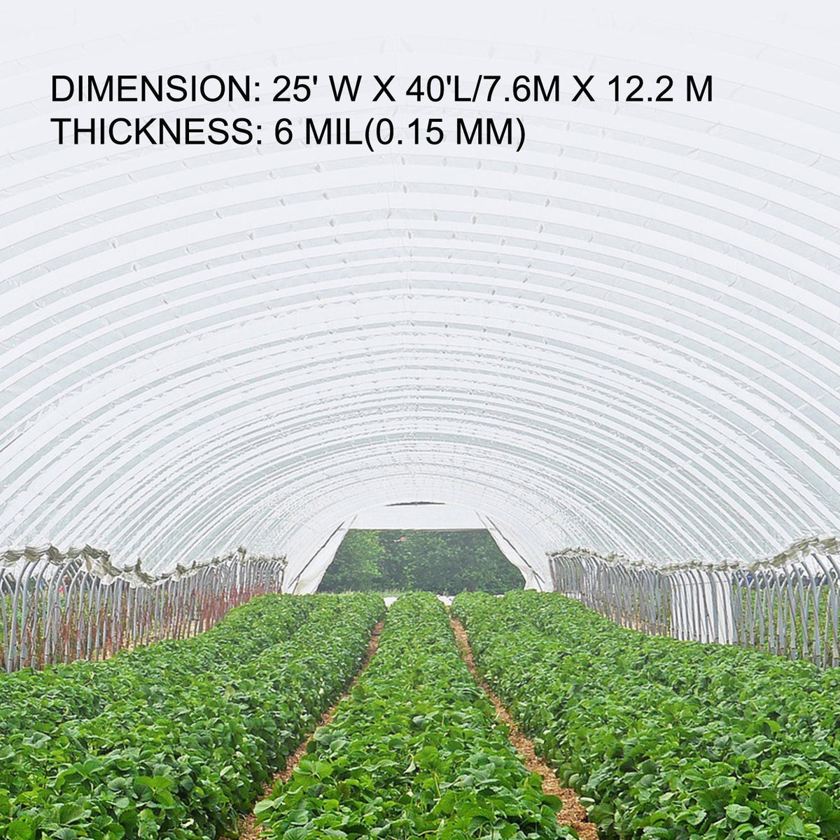 Greenhouse Film 25 x 40 ft, Greenhouse Polyethylene Film 6 Mil Thickness, Greenhouse Plastic Greenhouse Clear Plastic Film UV Resistant, Polyethylene Film Keep Warming, Superior Strength