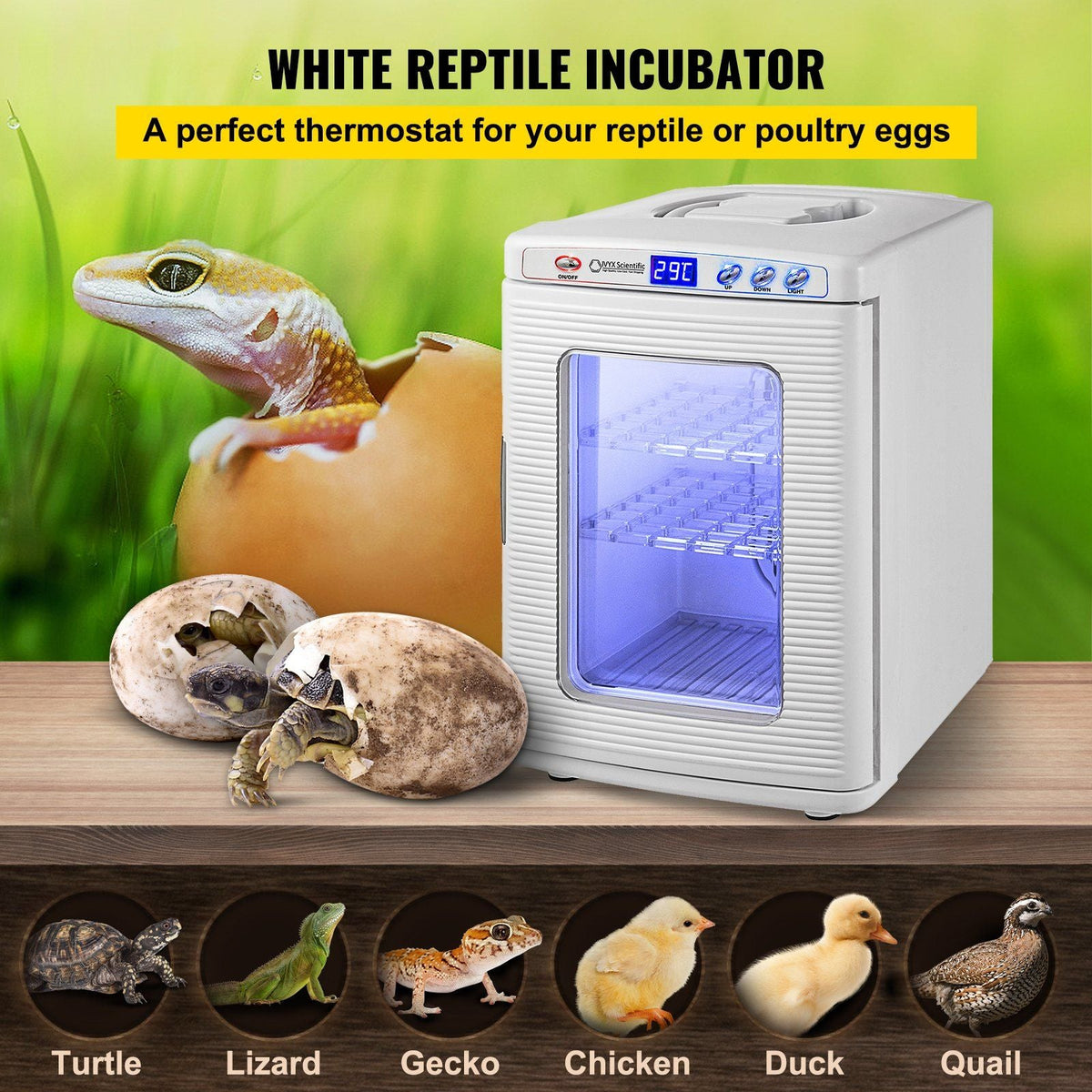 White Reptile Incubator 25L Scientific Lab Incubator Digital Incubator Cooling and Heating 5-60°C Reptile Egg Incubator 12V/110V Work for Small Reptiles